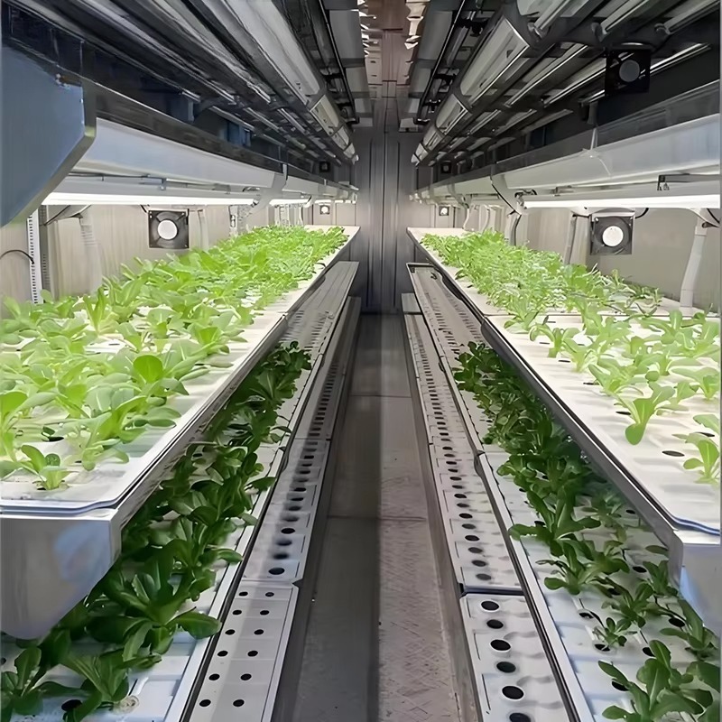 Smart Planting Container Verti - Urban Farming Hydroponics บทวิจารณ์และราคา
