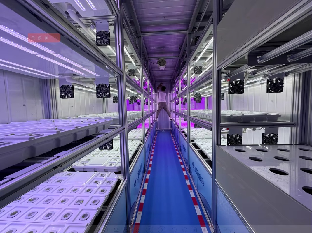 Commercial Hydroponic Containe - Urban Farming Hydroponics บทวิจารณ์และราคา
