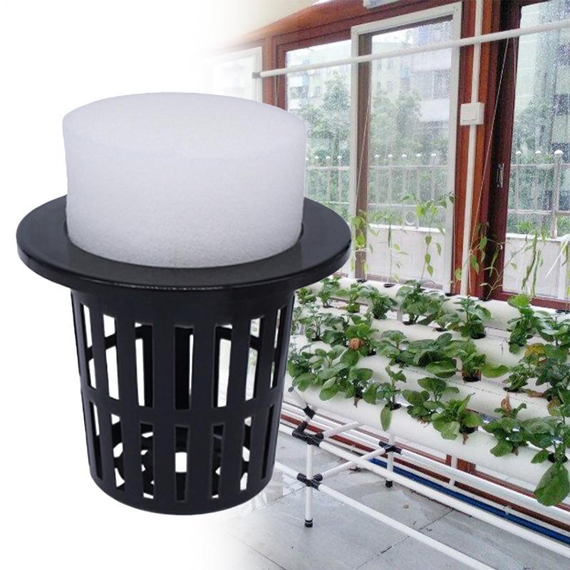 Net Pots For Hydroponics Hydro - Urban Farming Hydroponics บทวิจารณ์และราคา