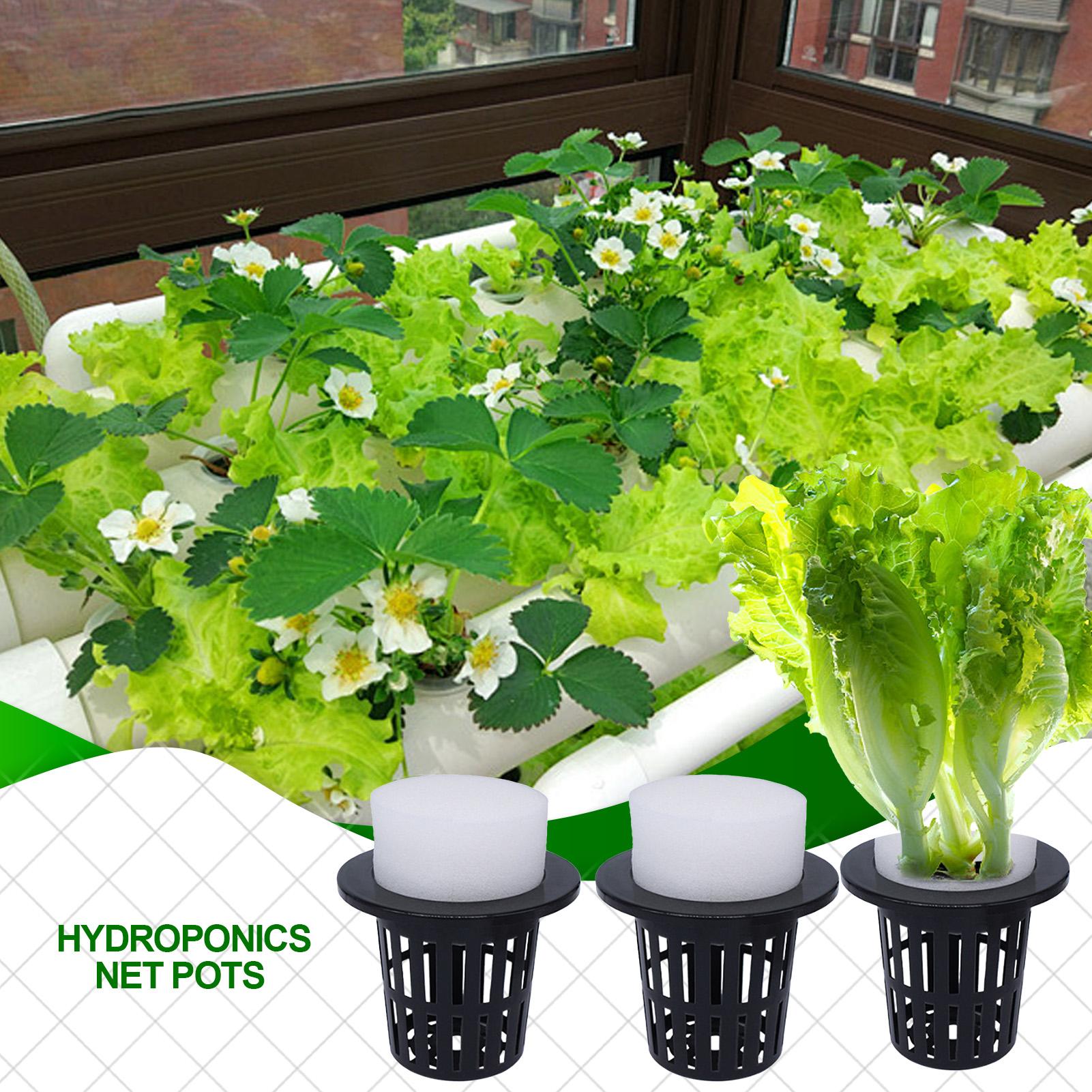 Net Pots For Hydroponics Hydro - Urban Farming Hydroponics บทวิจารณ์และราคา